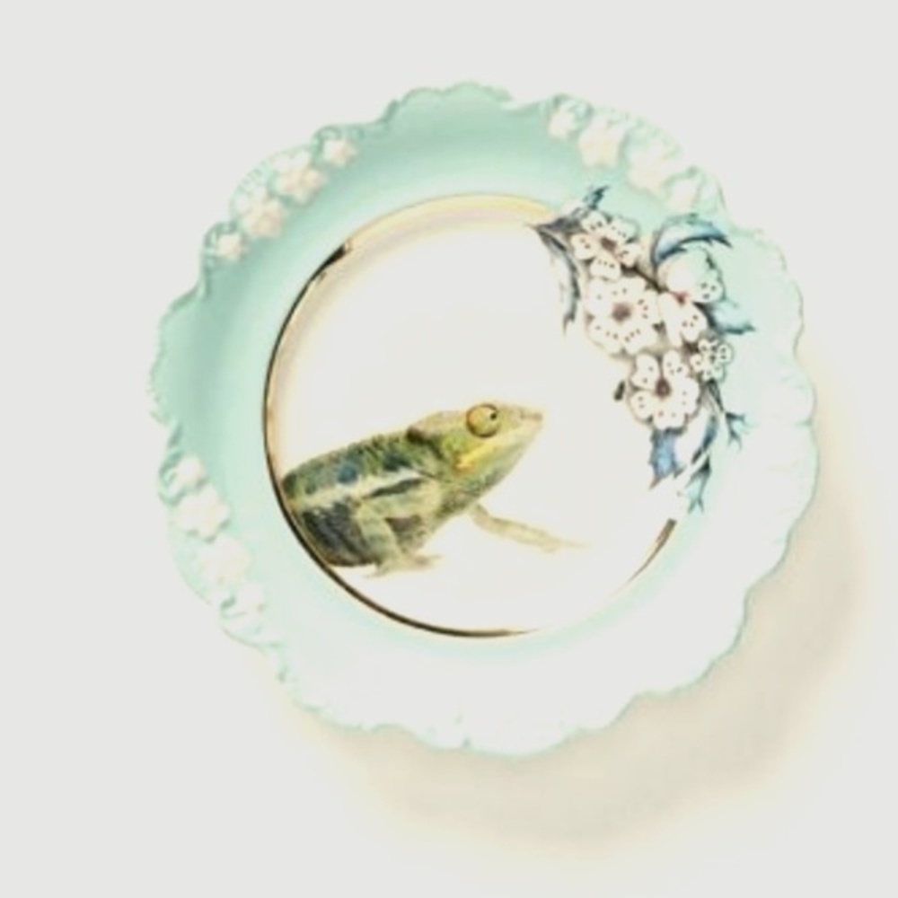 Anthropologie  Lou Rota Nature Menagerie  Side Plate. - Picture 2 of 4
